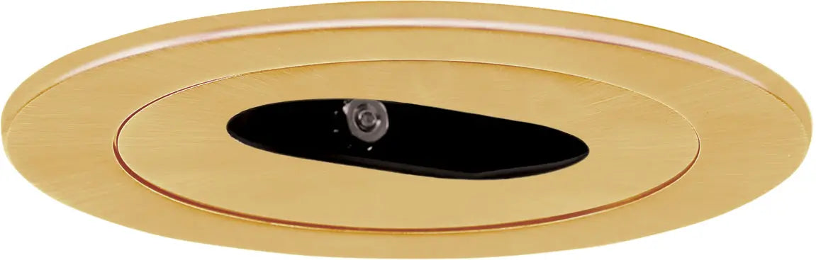 ELCO EL1420G 4" Adjustable Slot Spinnable Aperture Trim - Gold - Ready Wholesale Electric Supply and Lighting